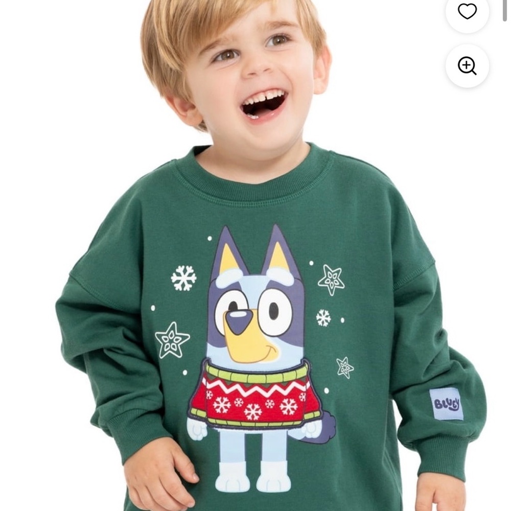 Bluey toddler boys graphic sweatshirt size 2T